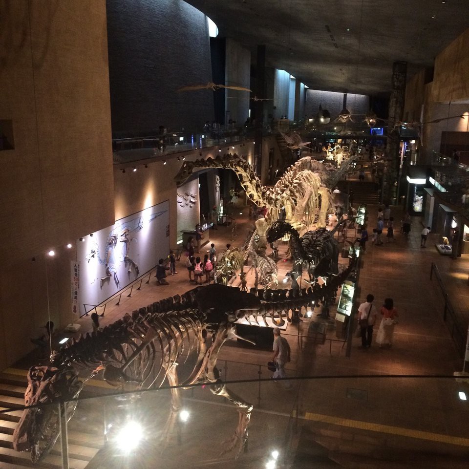 Kitakyushu Museum of Natural History & Human History (北九州市立 いのちのたび博物館) - メイン写真: