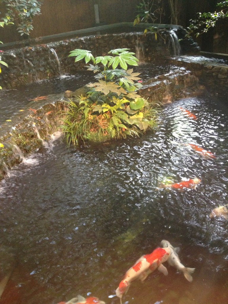 嬉野温泉旅館 大正屋 - メイン写真: