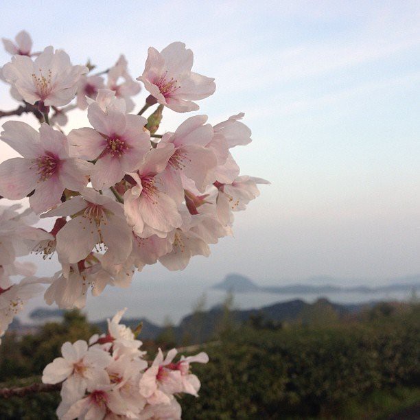 熊本県立天草青年の家 - メイン写真: