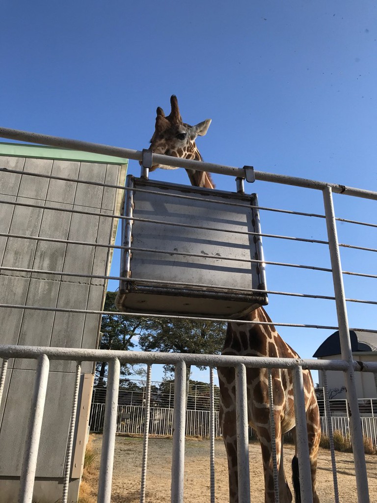 九十九島動植物園 (いしだけ動植物園) - メイン写真: