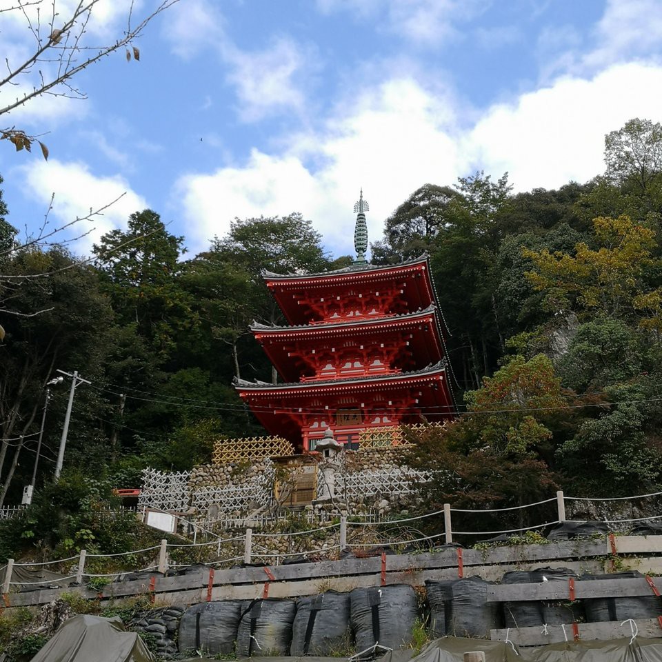 岐阜公園 三重塔 - メイン写真: