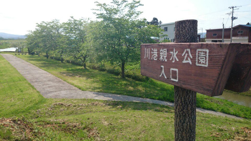 川港親水公園 - メイン写真: