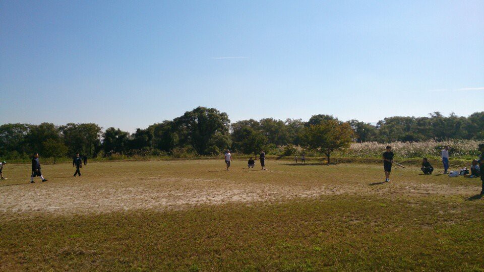 蟹川橋河川敷緑地公園 - メイン写真: