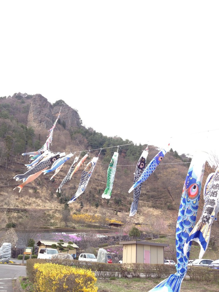 道の駅 霊山たけやま - メイン写真: