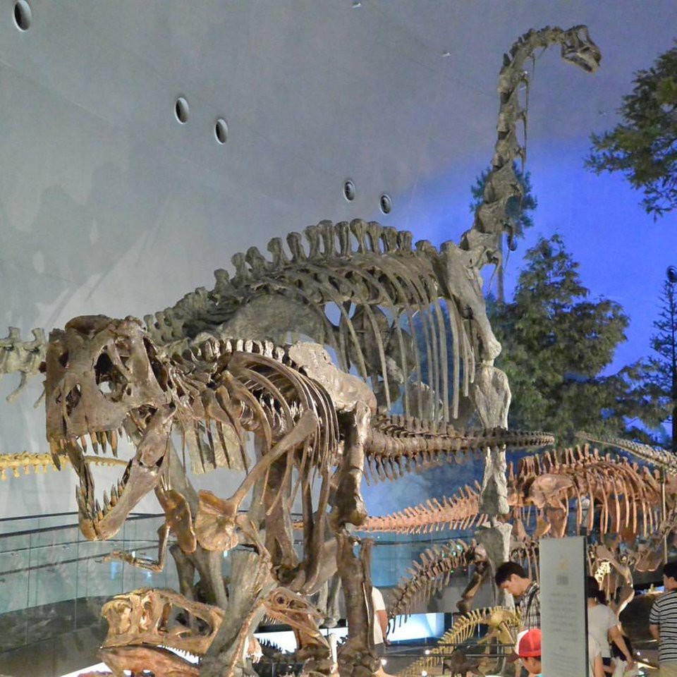 Fukui Prefectural Dinosaur Museum - メイン写真: