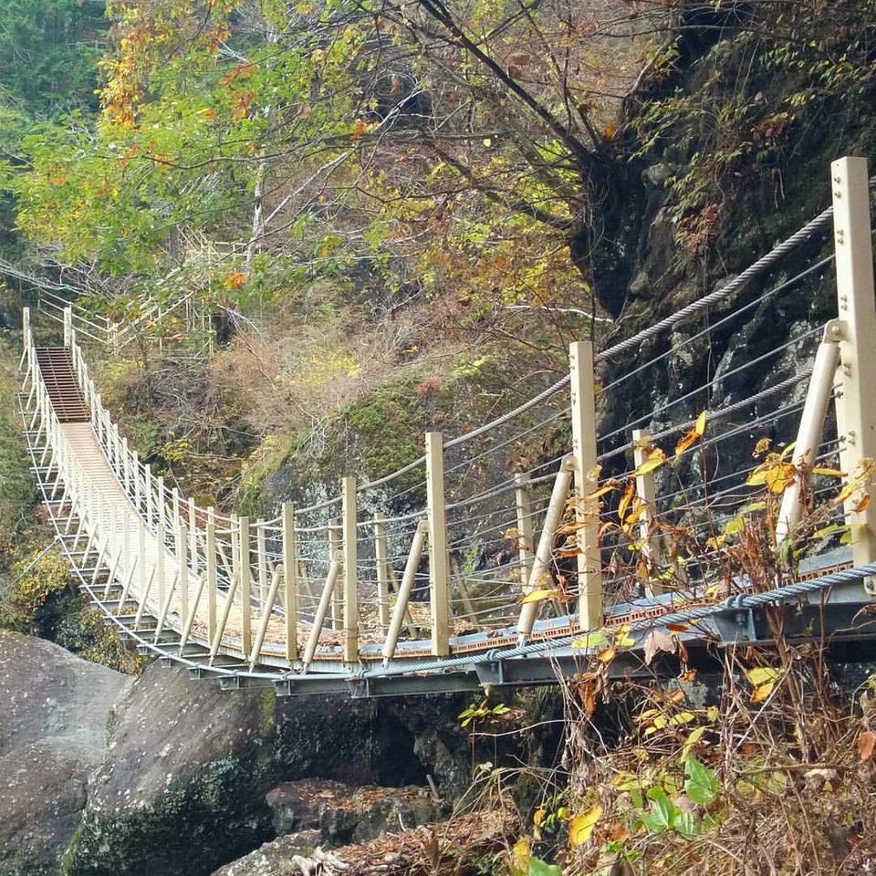 大柳川渓谷遊歩道 - メイン写真: