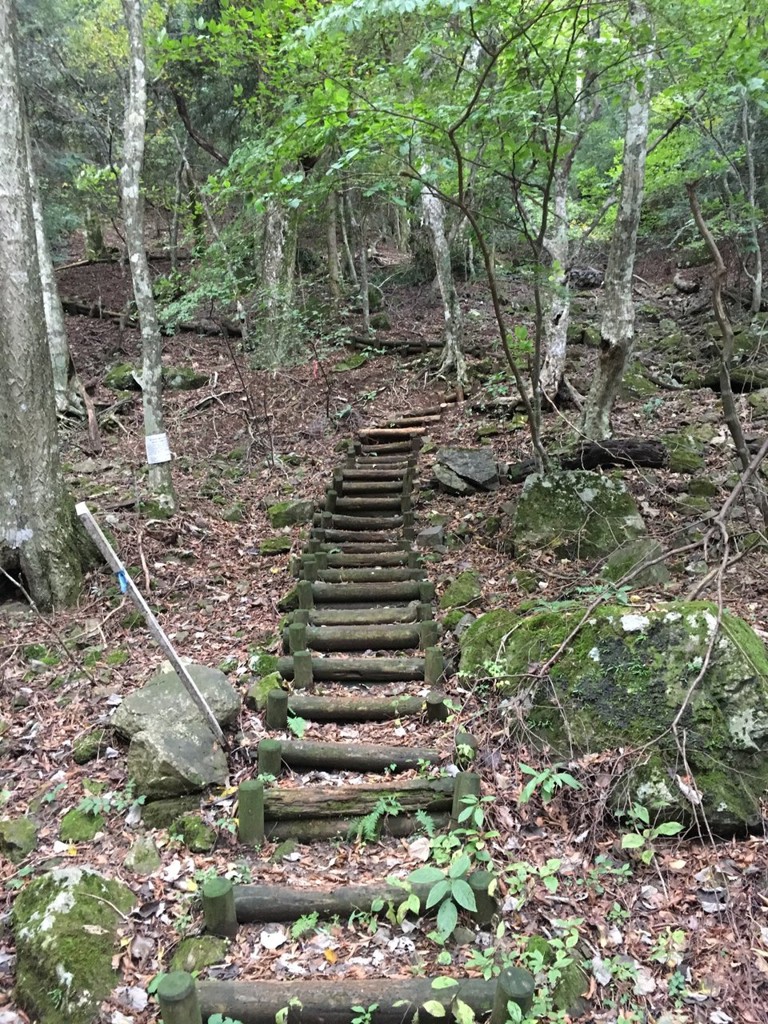 渡辺氏屋敷跡 - メイン写真: