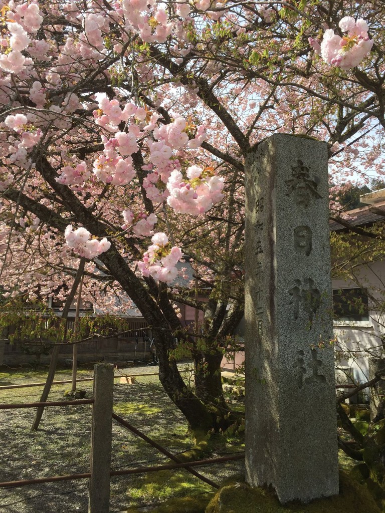 春日神社 - メイン写真: