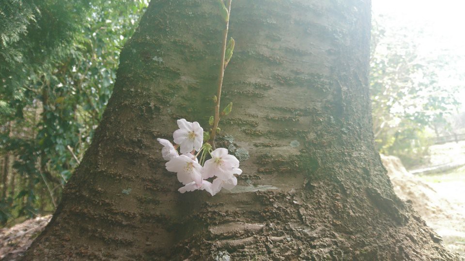 貴船神社 - メイン写真: