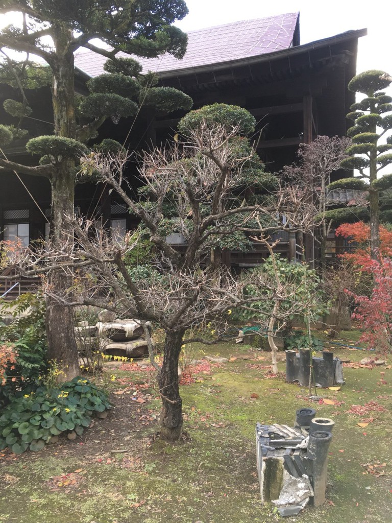 慈雲山 西光寺 - メイン写真: