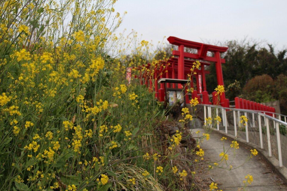 大栄稲荷神社 - メイン写真: