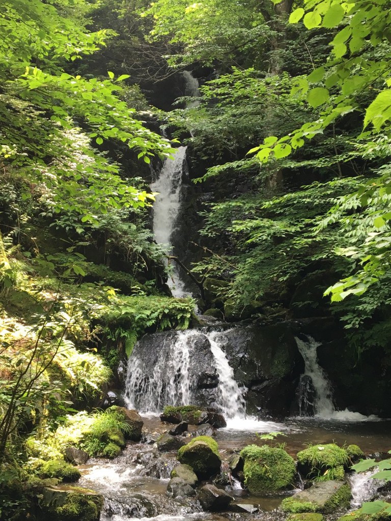 Yashiki falls (屋敷の滝) - メイン写真: