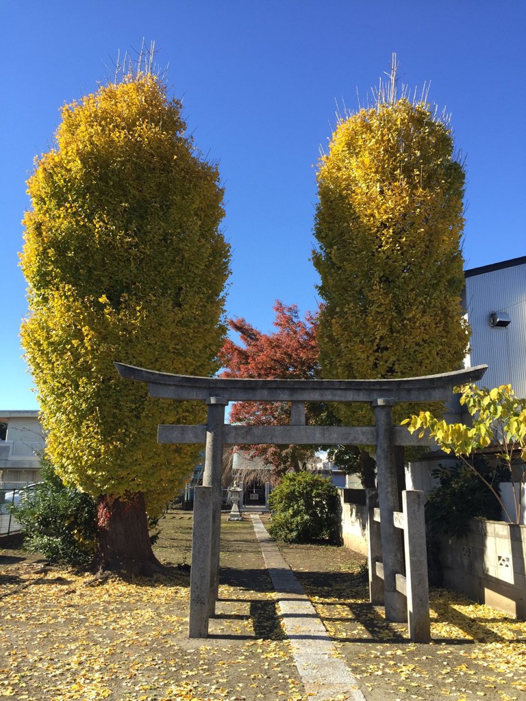 荒川沖 天満神社 - メイン写真: