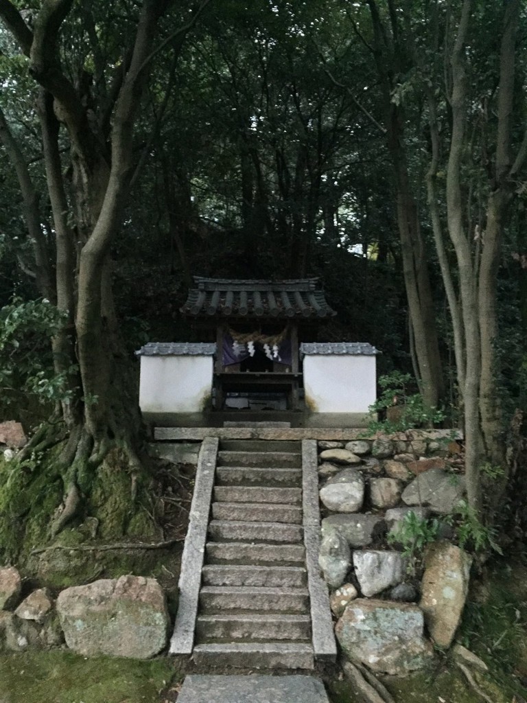 岩崎神社 - メイン写真: