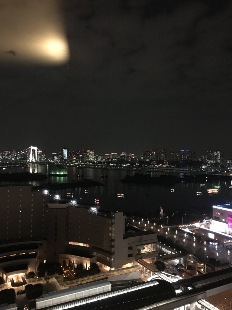 グランドニッコー東京台場 - メイン写真: