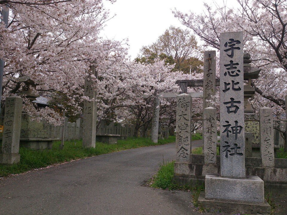 宇志比古神社 - メイン写真: