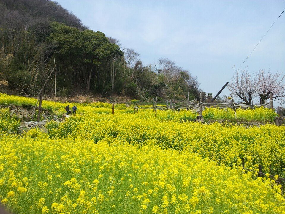 田尻保育園 - メイン写真: