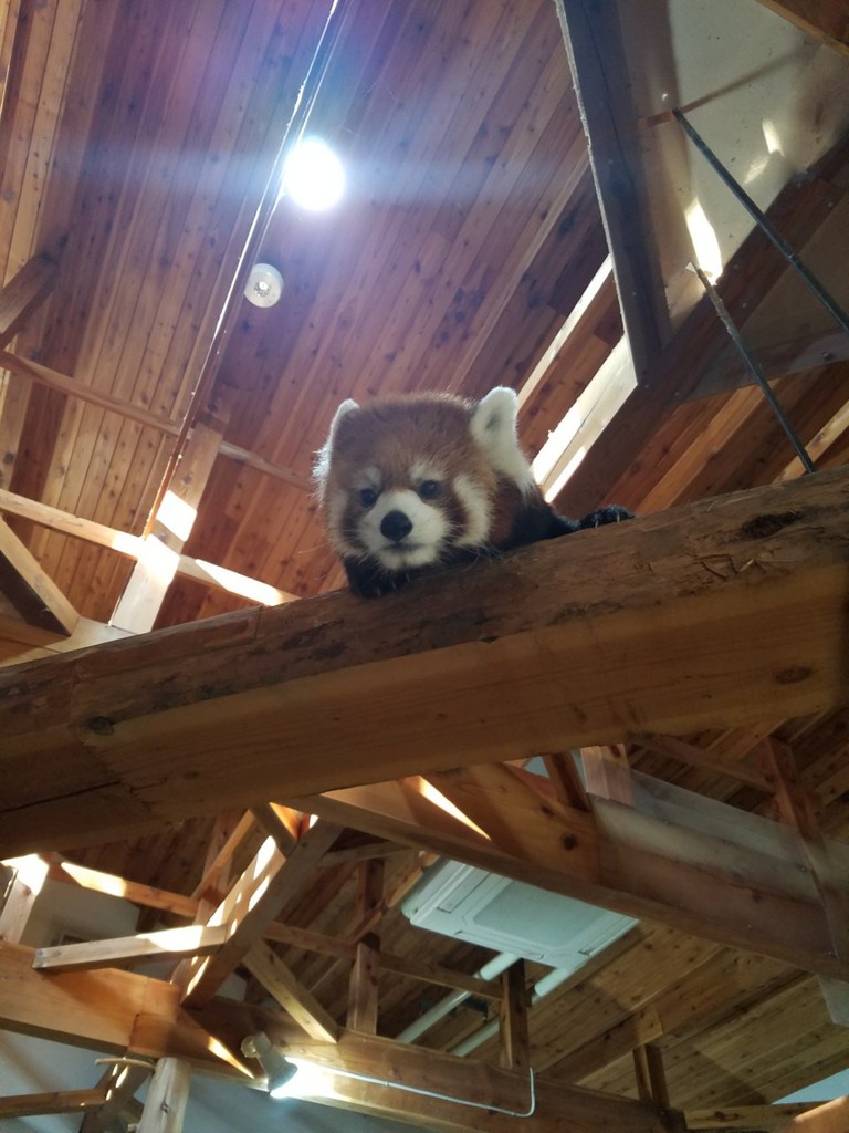 茶臼山動物園