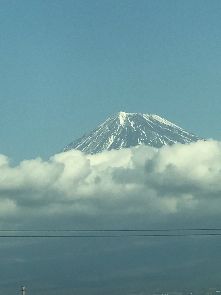 Fuji (富士市) - メイン写真: