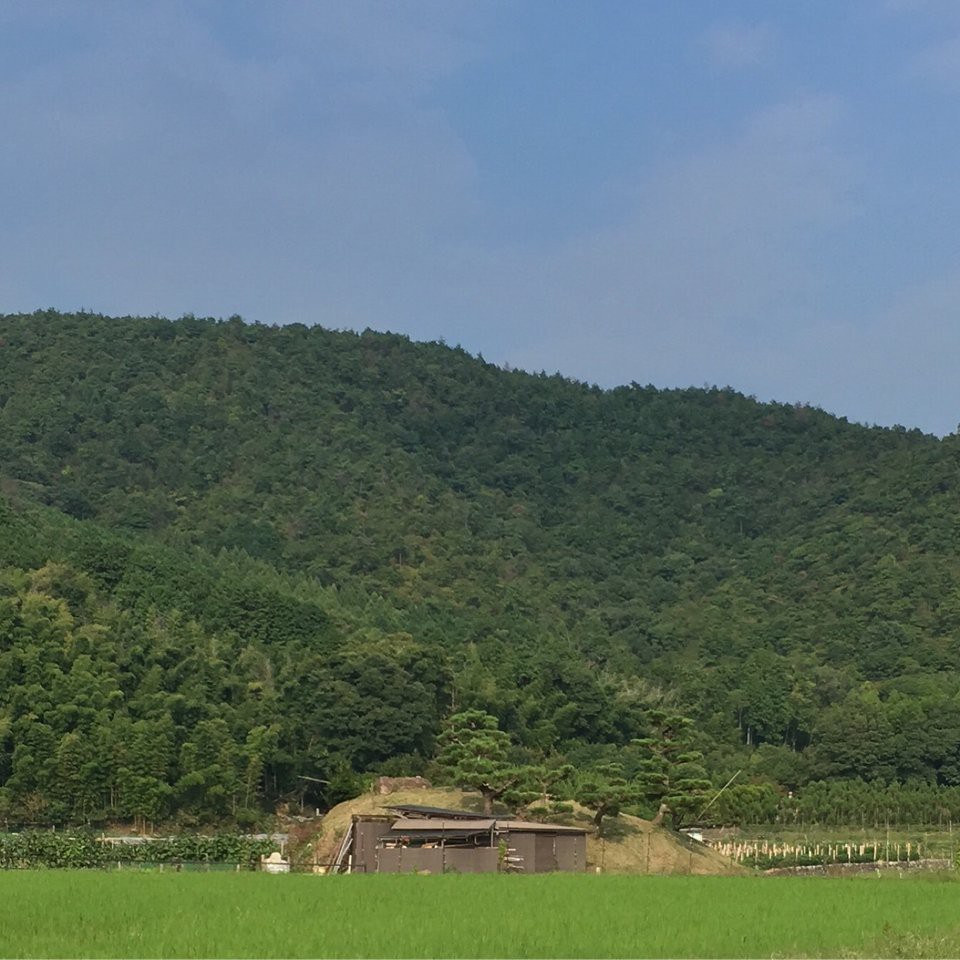 嵯峨七ツ塚古墳群 - メイン写真: