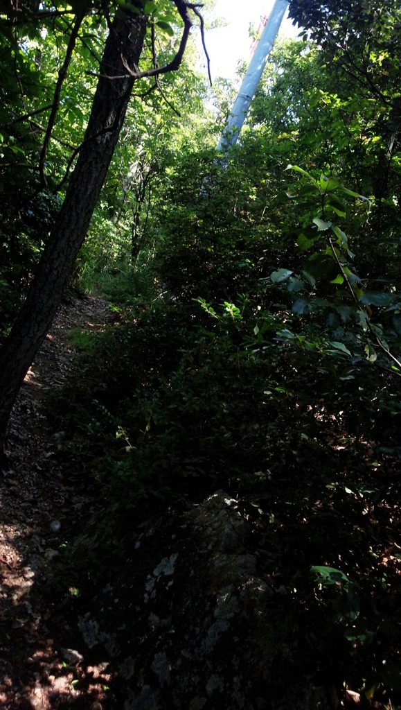 瑞龍寺山頂遺跡 - メイン写真: