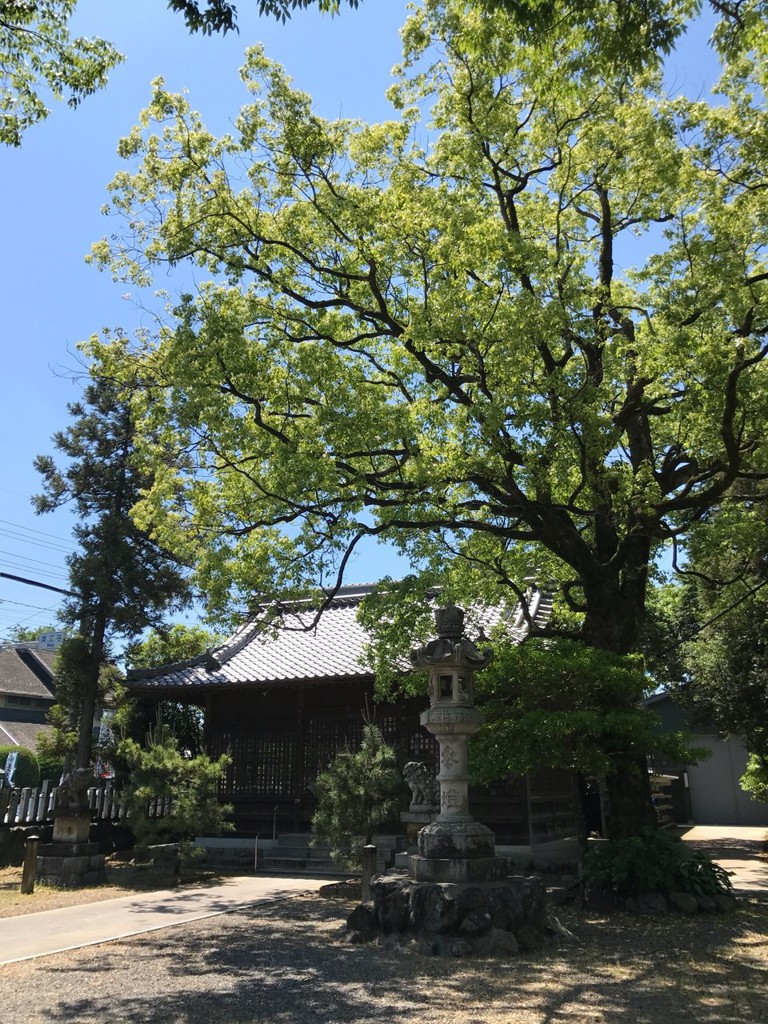 美江神社 - メイン写真: