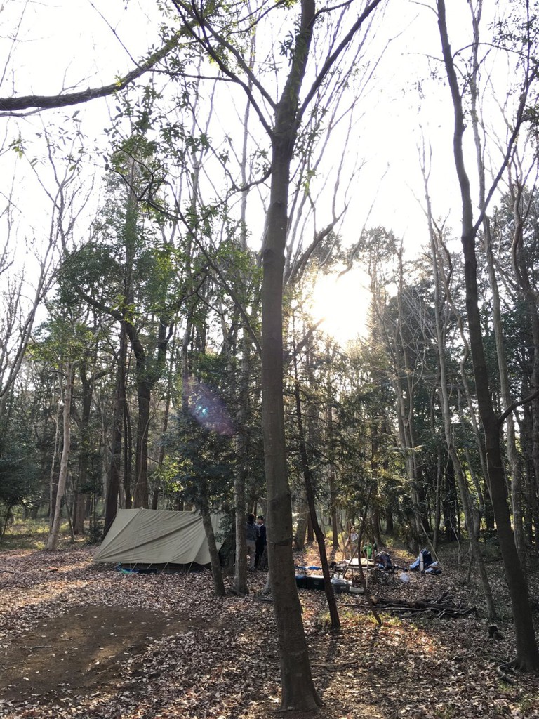 大神保青少年キャンプ場 - メイン写真: