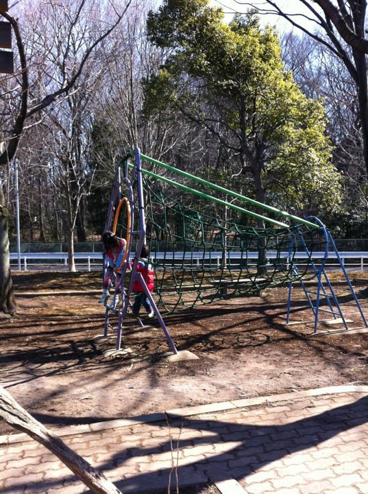 新田公園 - メイン写真: