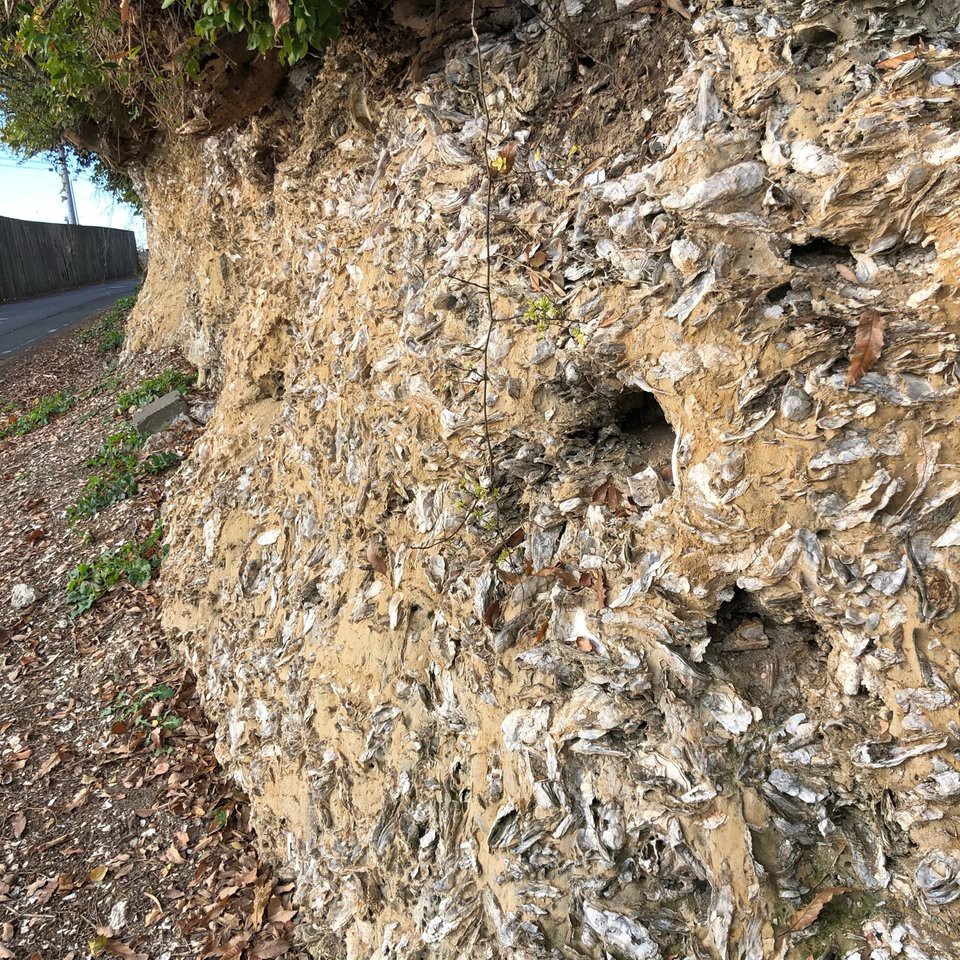 崎浜横穴古墳群 - メイン写真: