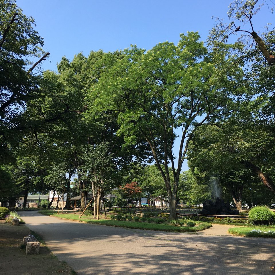 高崎公園 - メイン写真: