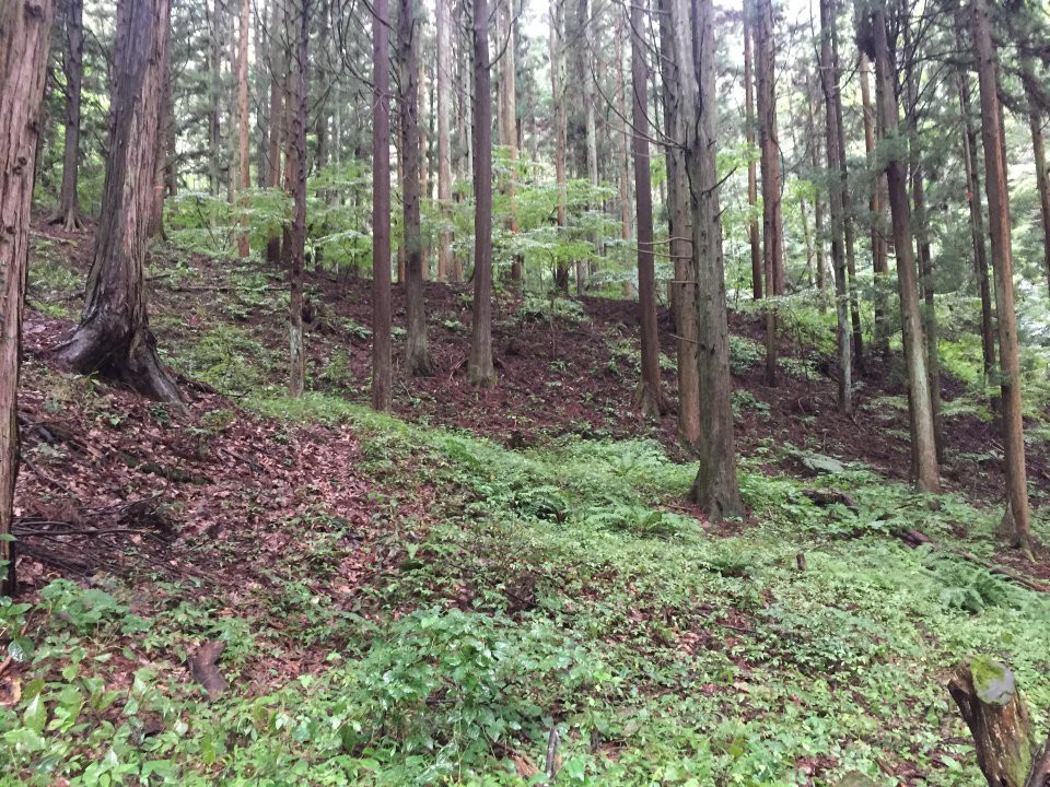 塩田城跡 - メイン写真: