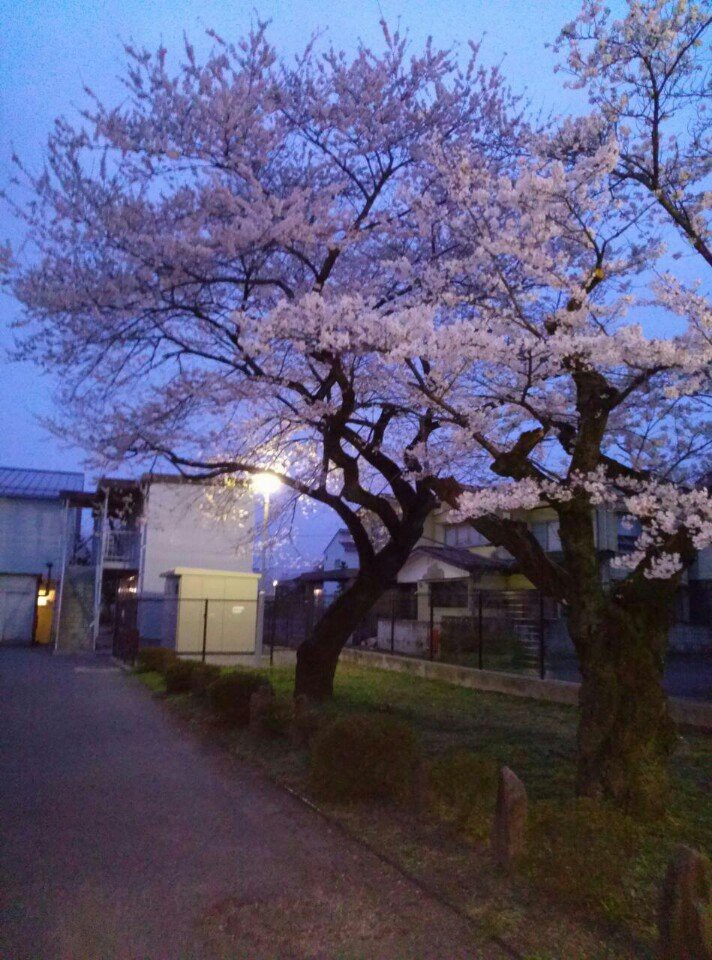 福島県立白河高等学校 - メイン写真: