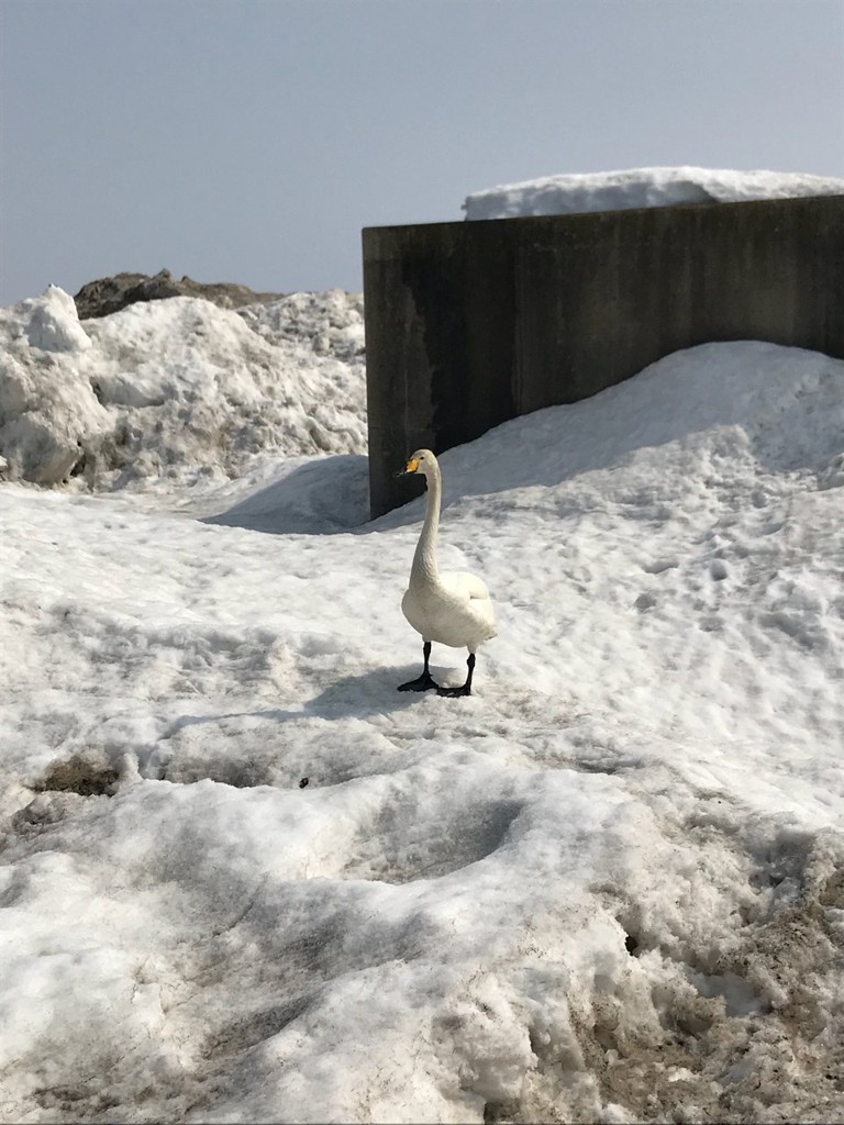 徳良湖 - メイン写真: