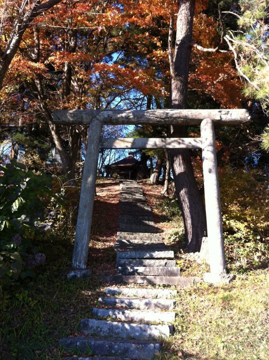 金刀毘羅神社 - メイン写真: