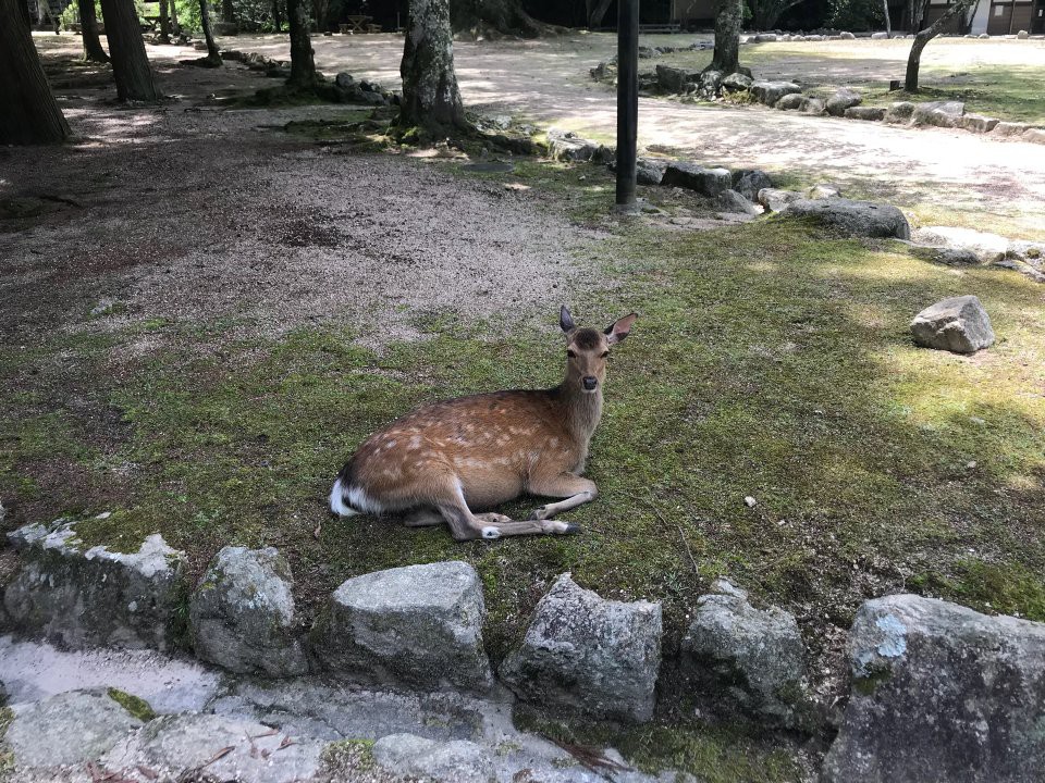 Omoto Park - メイン写真: