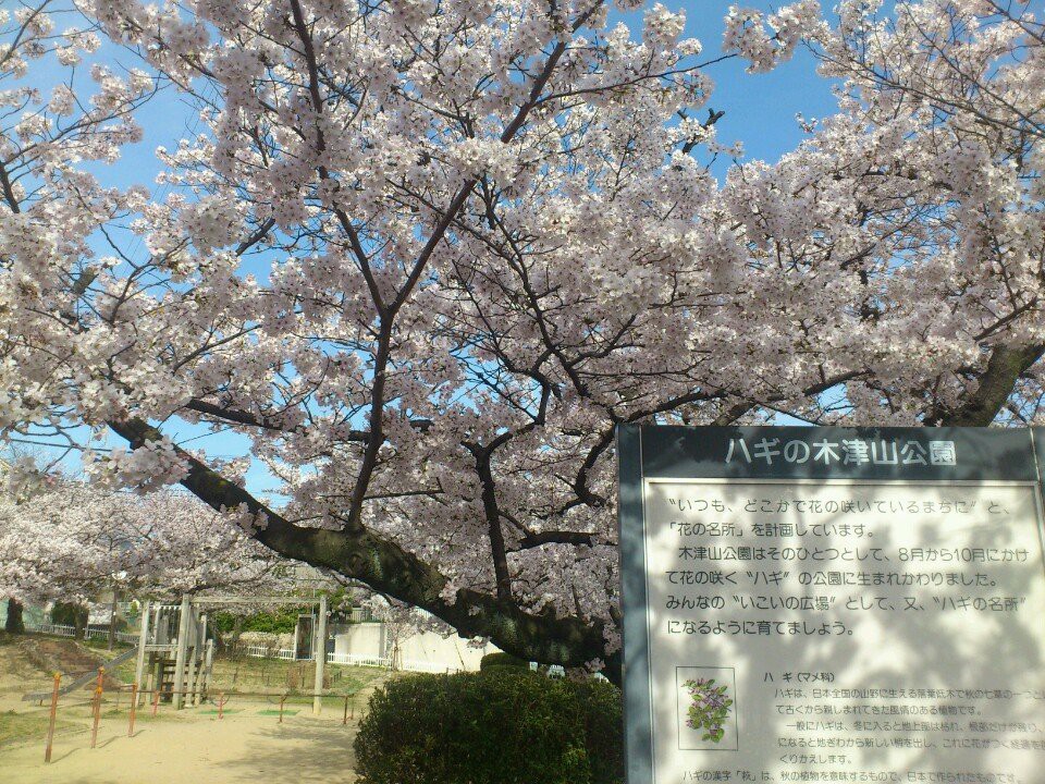 木津山公園 - メイン写真: