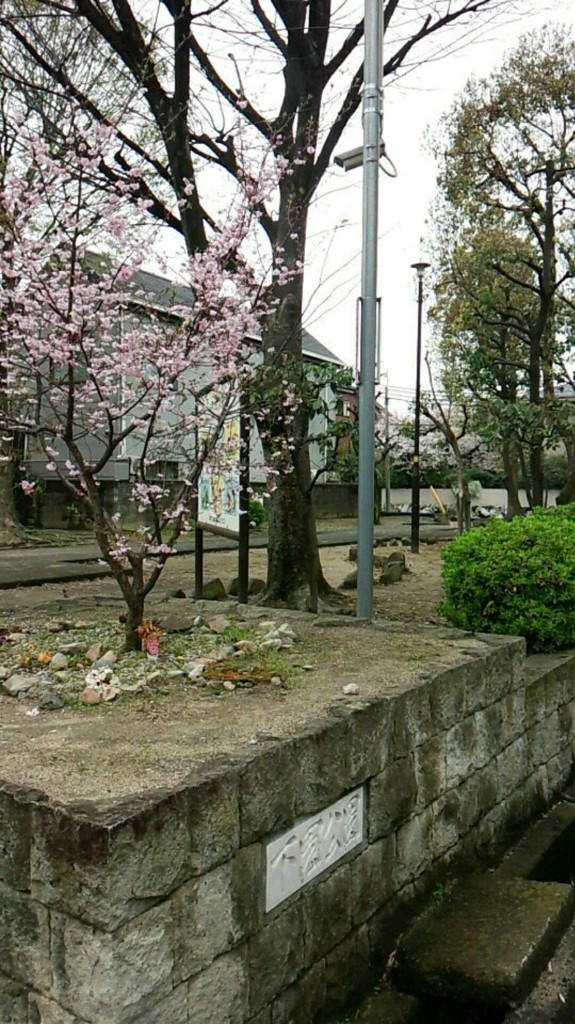 下園公園 - メイン写真: