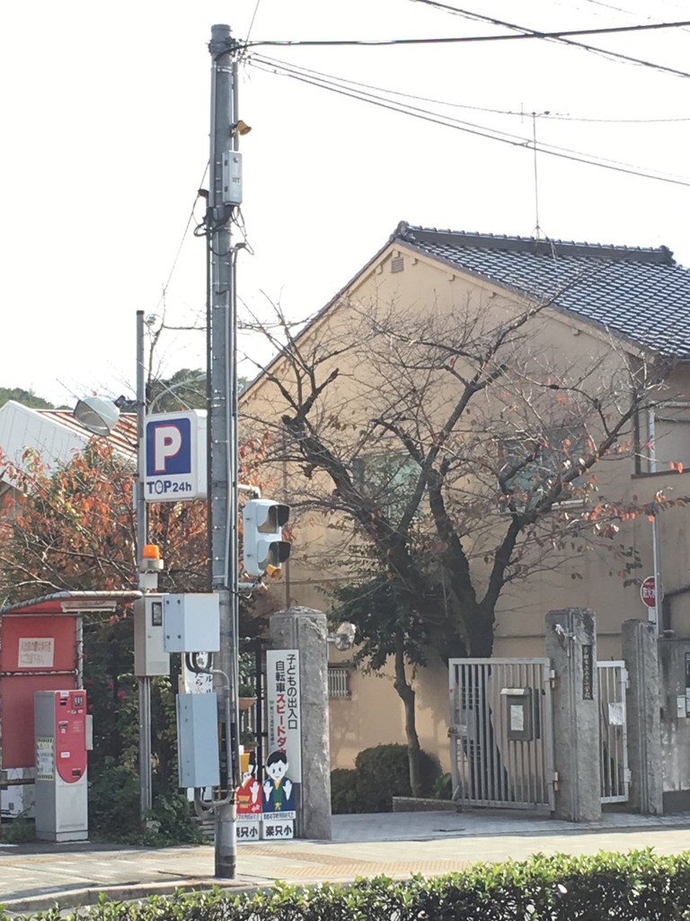 京都市立楽只小学校 - メイン写真: