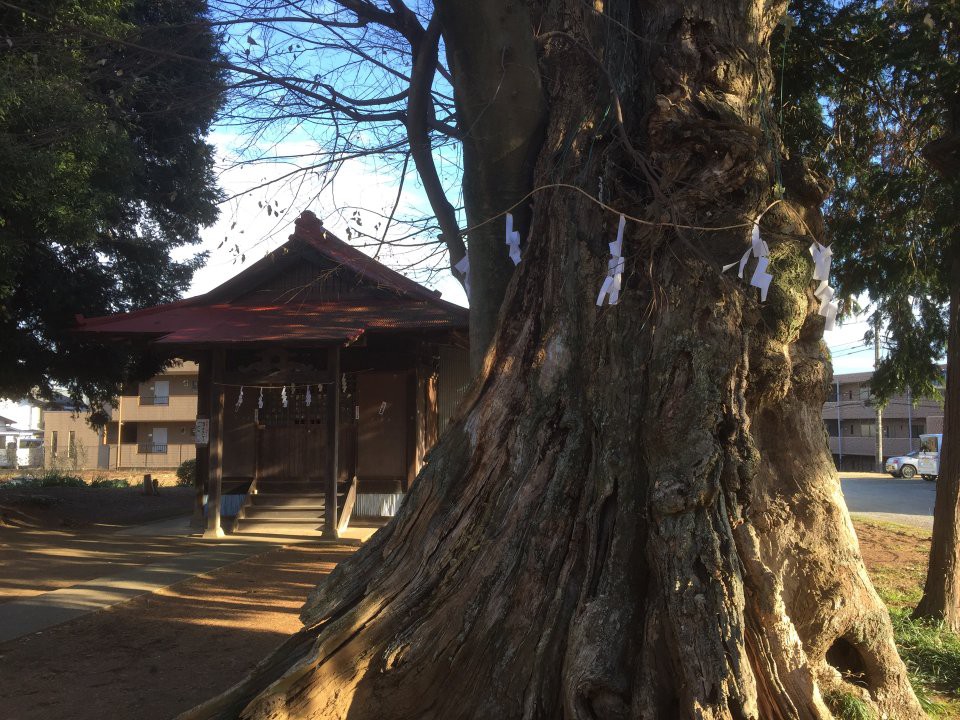 八坂神社 - メイン写真: