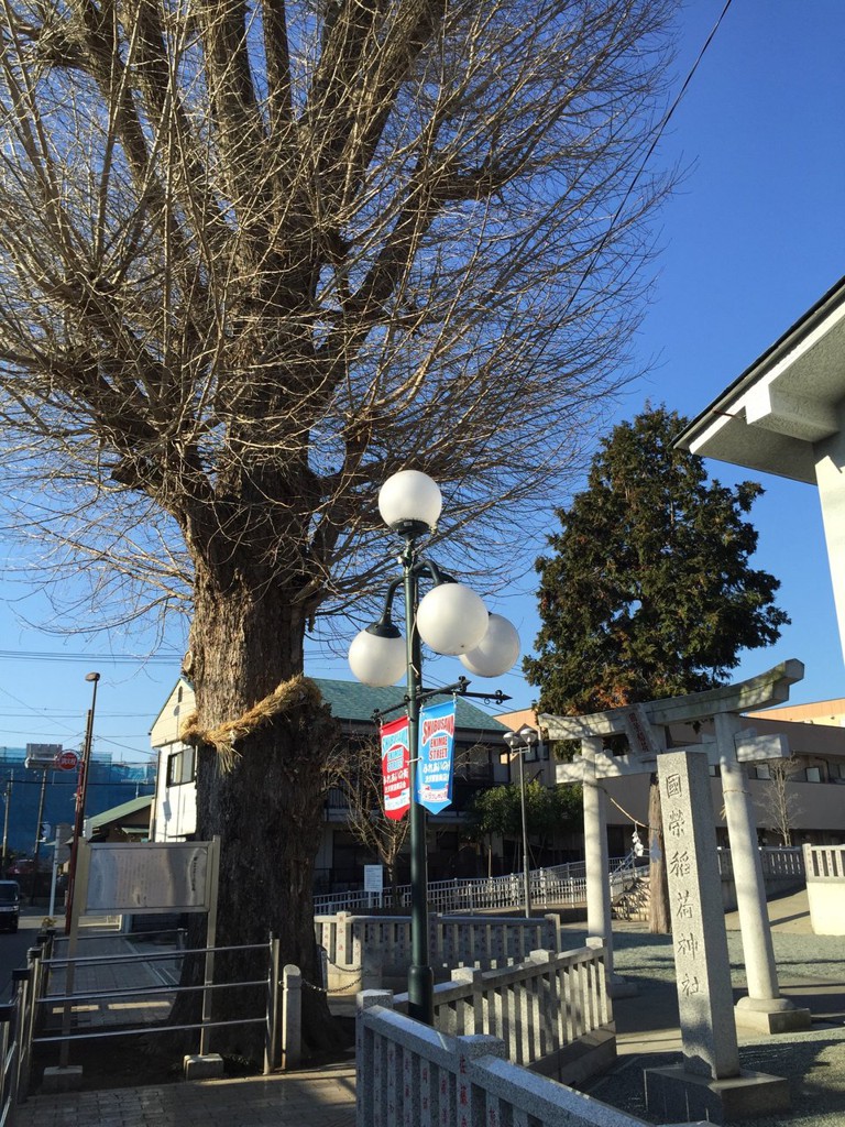 國榮稲荷神社 - メイン写真: