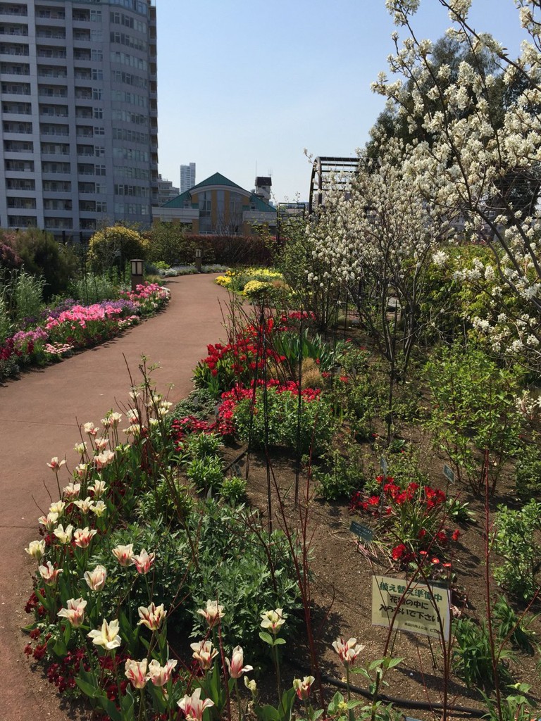 区立 東品川海上公園 屋上庭園 - メイン写真: