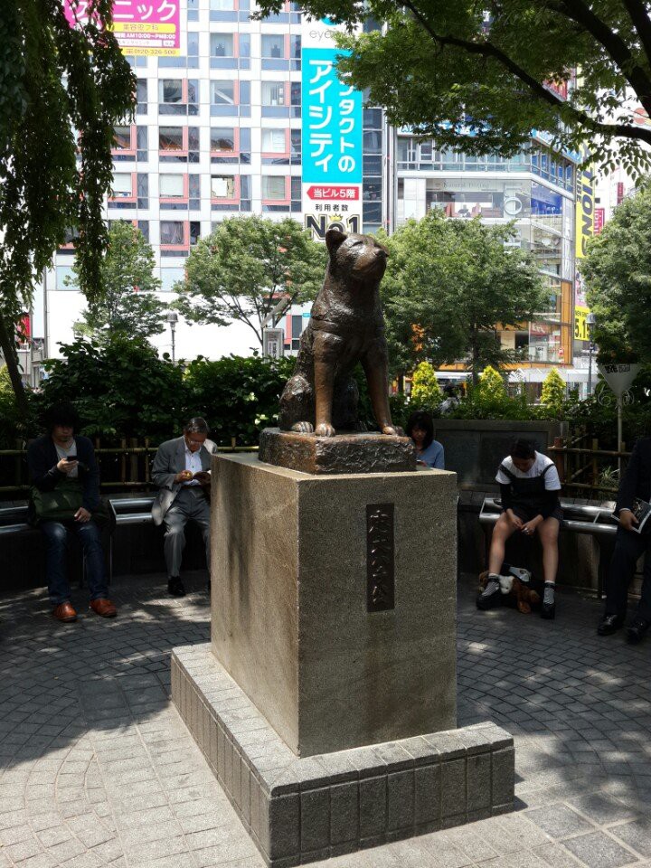 Hachiko Gate (渋谷駅 ハチ公口) - メイン写真: