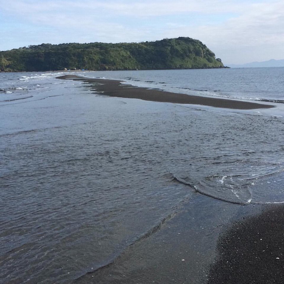 知林ヶ島 - メイン写真: