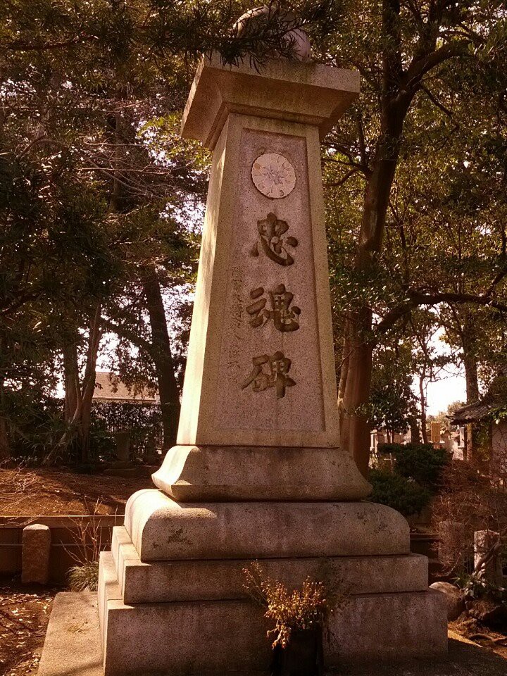 東圓寺 - メイン写真: