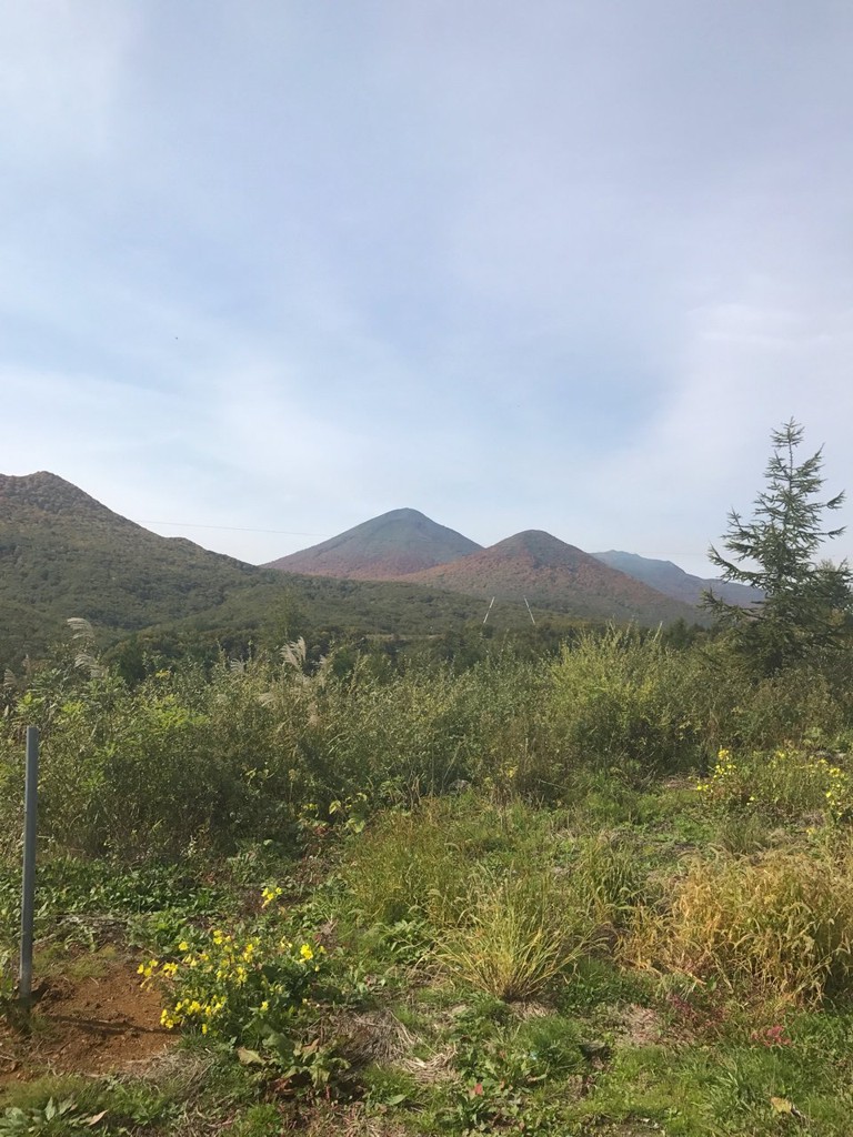 田代高原又兵衛の茶屋 - メイン写真: