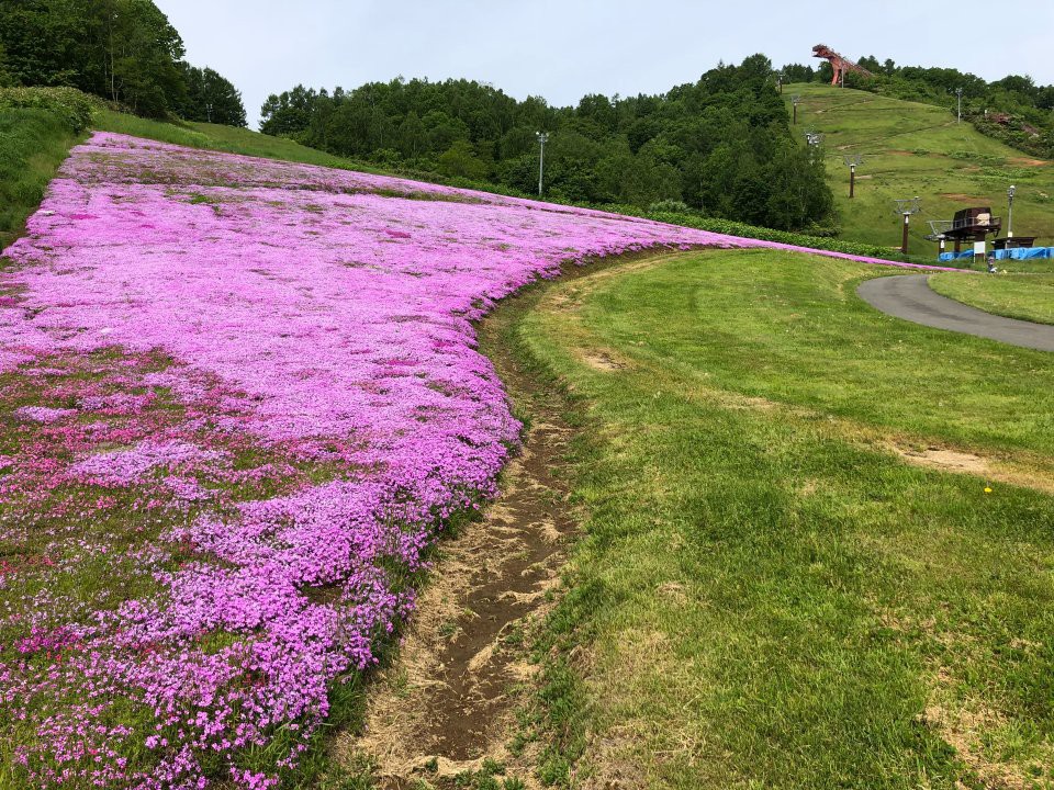 旭ヶ丘総合公園 - メイン写真: