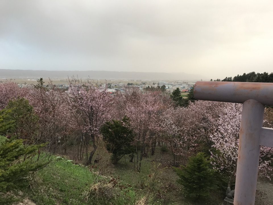 中富良野神社 - メイン写真: