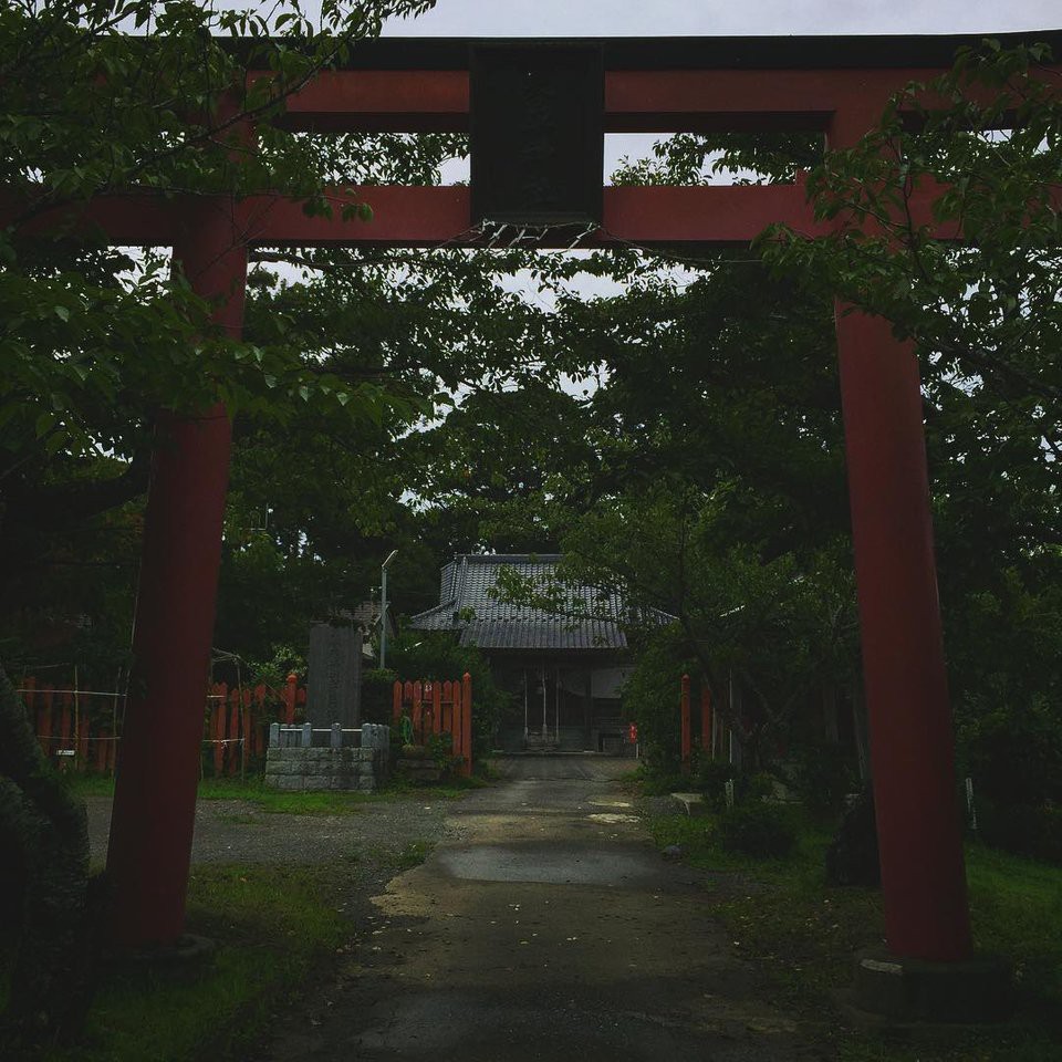 琴平神社 - メイン写真: