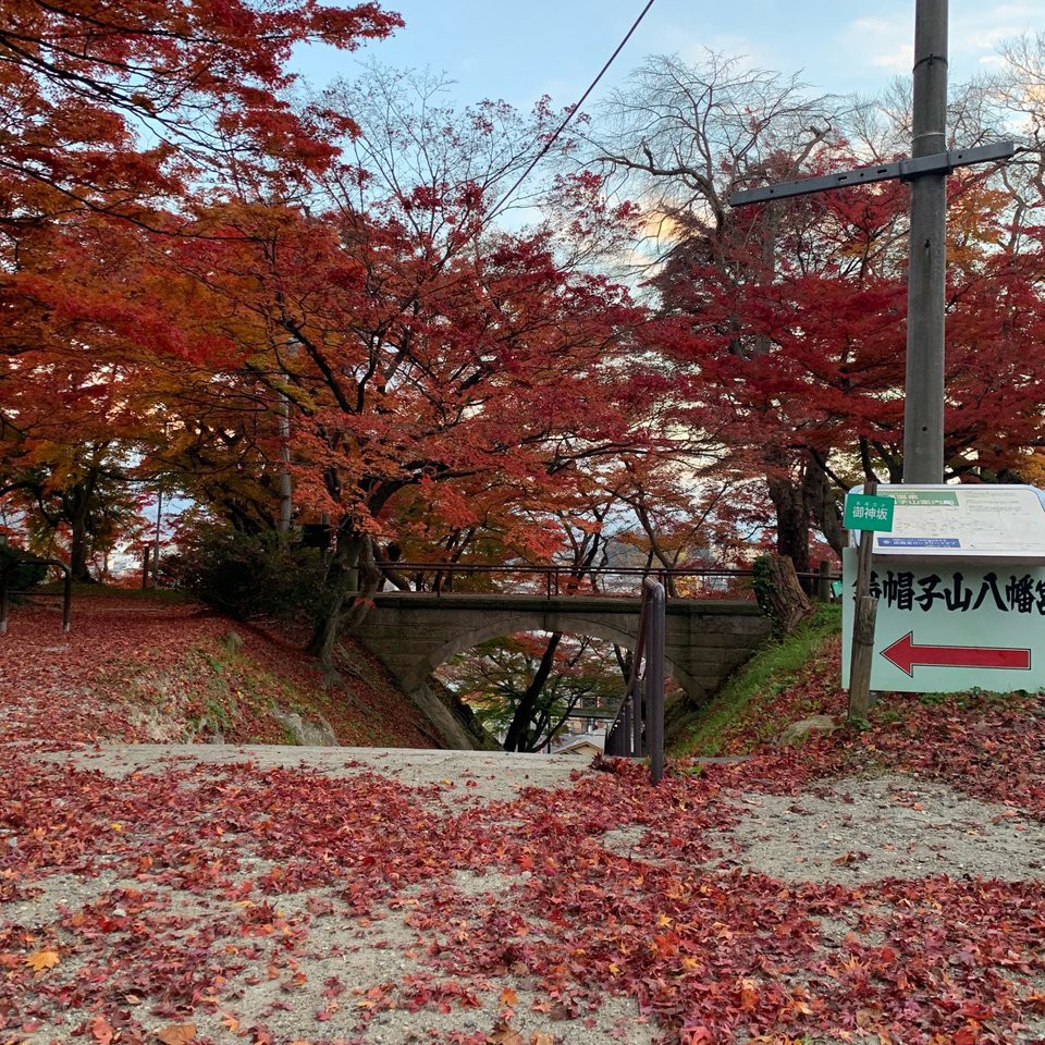 烏帽子山公園 - メイン写真: