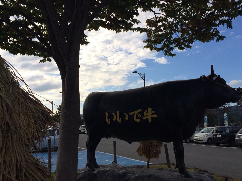 道の駅 いいで めざみの里観光物産館 - メイン写真: